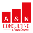 The A&N Consulting Group